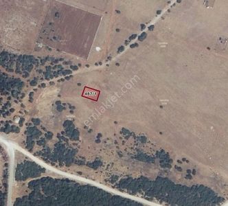 Didim Balova 2 De Satılık Köşe Villa Arsası 315 M2