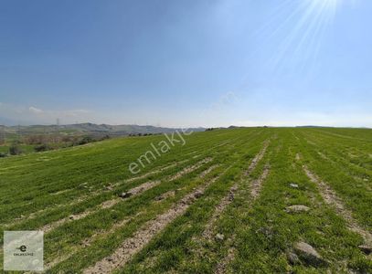 Arsa-Sanayi İmarlı