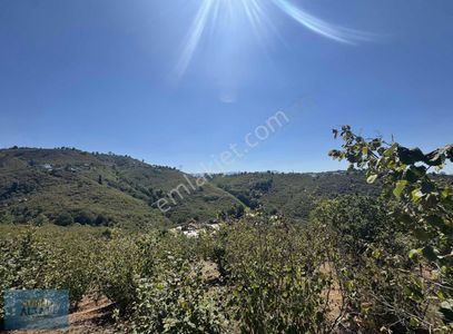 Arsa-Konut İmarlı