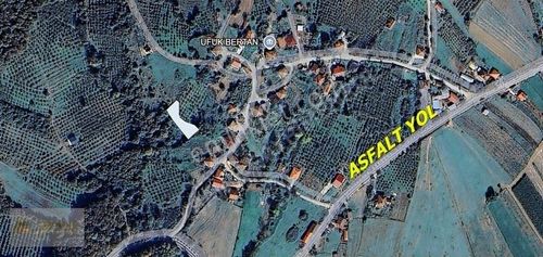 Arsa-Tarla