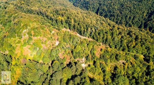 Arsa-Konut İmarlı