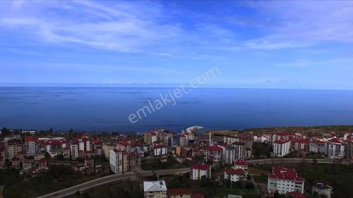 Akçaabat Yaylacık’ta 980 M² – 5 Kat İmarlı, Deniz Manzaralı Arazi