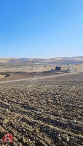 Arsa-Tarla