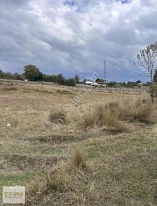 Arsa-Özel Kullanım