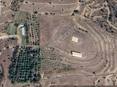 Arsa-Bağ & Bahçe
