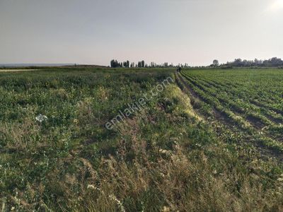 Arsa-Tarla