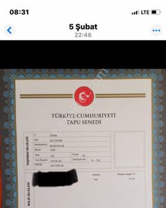 Arsa-Zeytinlik