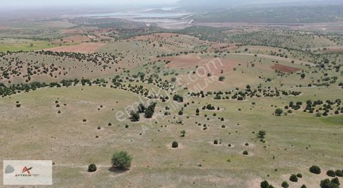 Arsa-Tarla