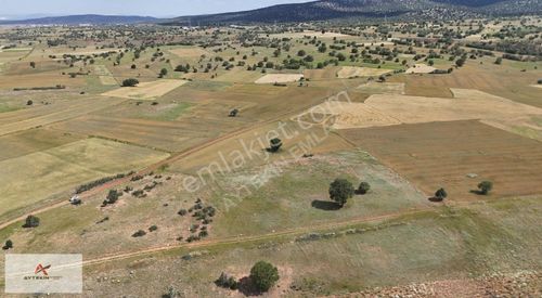 Arsa-Tarla