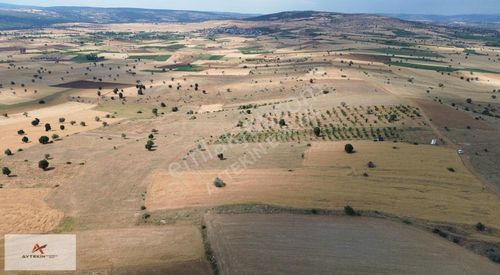 Arsa-Tarla