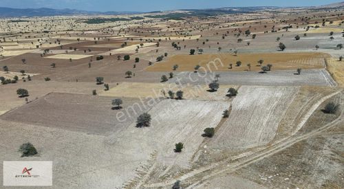 Arsa-Tarla