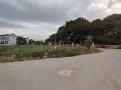 Arsa-Konut İmarlı