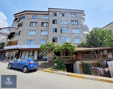 İşyeri-Dükkan & Mağaza