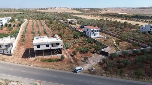 Arsa-Bağ & Bahçe