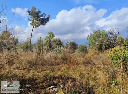 Arsa-Konut İmarlı