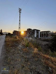 Konut-Daire