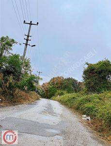 Arsa-Tarla