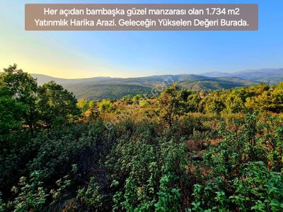 Arsa-Bağ & Bahçe