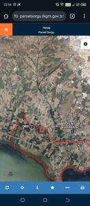 Arsa-Zeytinlik