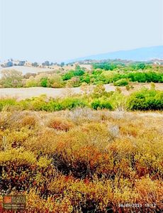 Arsa-Tarla