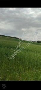 Arsa-Tarla