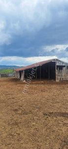 Arsa-Tarla