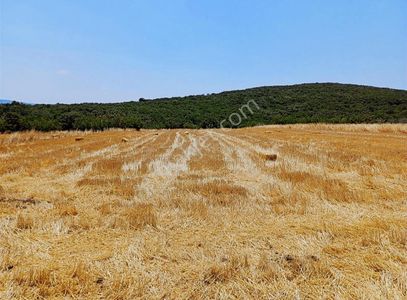 Arsa-Tarla