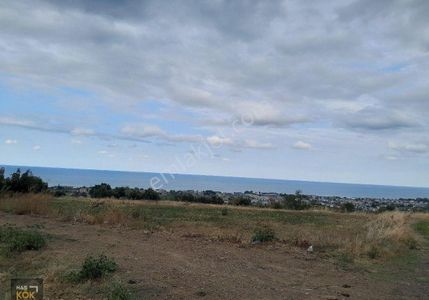 Arsa-Tarla