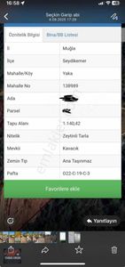 Arsa-Zeytinlik