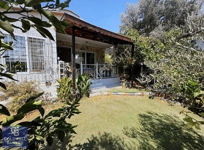 Arsa-Zeytinlik