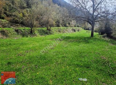 Arsa-Tarla