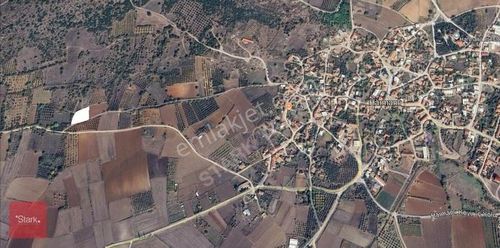 Arsa-Tarla