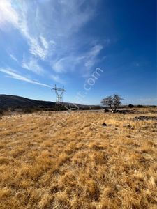Arsa-Tarla