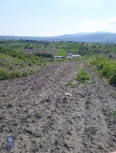 Arsa-Tarla
