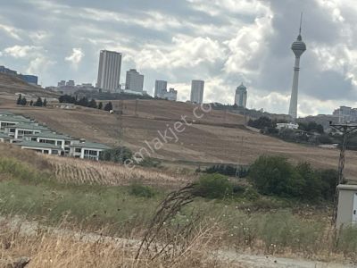Arsa-Bağ & Bahçe