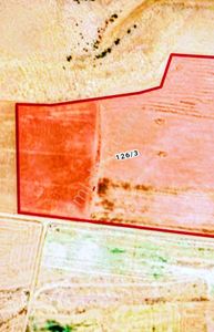 Arsa-Tarla