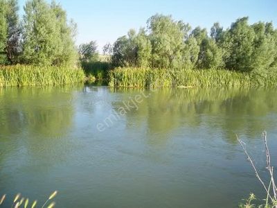 Arsa-Tarla