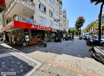 İşyeri-Dükkan & Mağaza