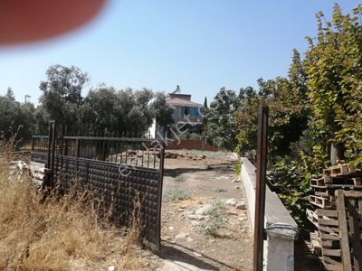 Arsa-Konut İmarlı