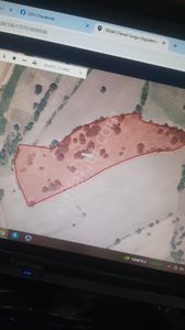 Arsa-Tarla