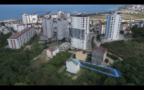 Arsa-Konut+Ticaret Alanı