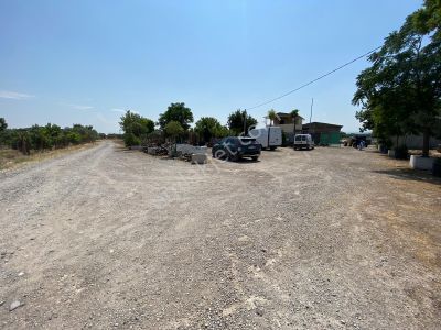 Arsa-Tarla
