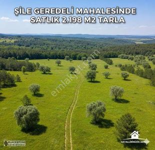 Arsa-Tarla
