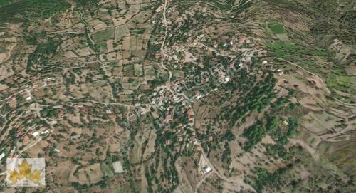 Arsa-Tarla