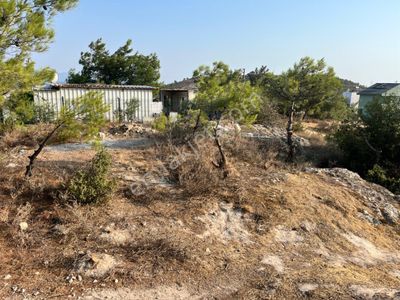 Arsa-Villa İmarlı