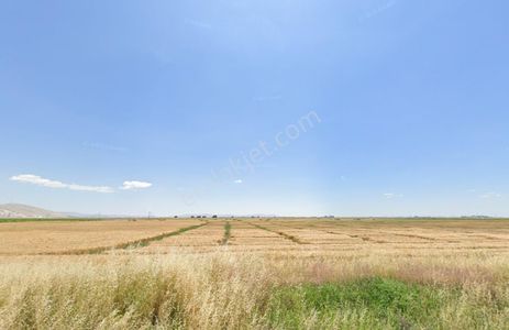 Arsa-Tarla