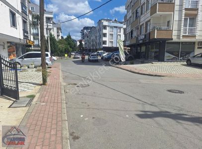 İşyeri-Dükkan & Mağaza