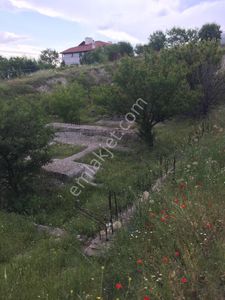 Arsa-Konut İmarlı