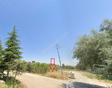 Arsa-Bağ & Bahçe