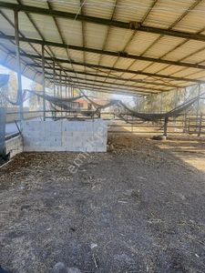 Arsa-Bağ & Bahçe
